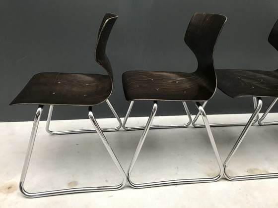 Image 1 of 4 sillas escolares Pagholz Flototto 