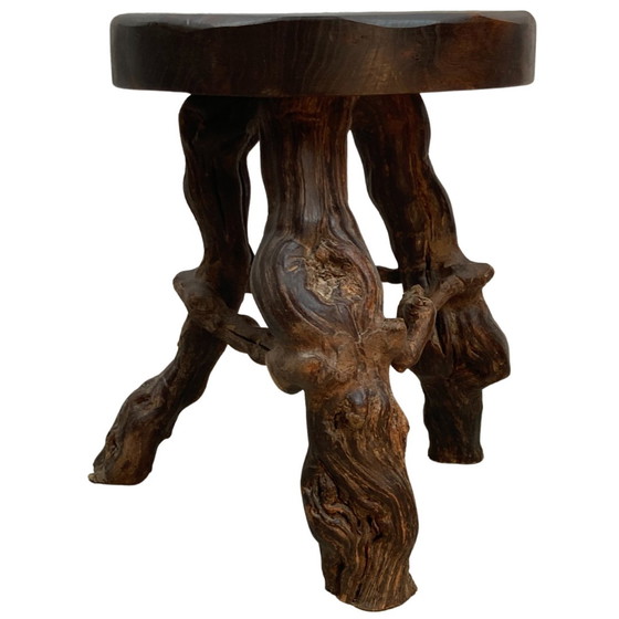 Image 1 of Grapevine Root Stool, France, 1950S 