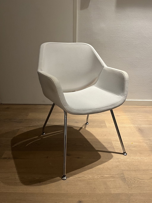 Artifort Gap Chair refurbisher (12 available)