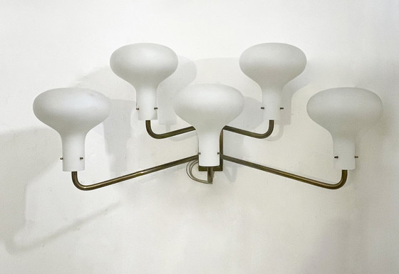 Image 1 of Mid-Century Wall Light " Lp12" By Ignazio Gardella, Azucena, 1960S