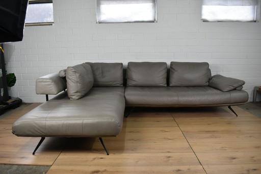 Leather sofa Dieter Knoll Collection leather couch leather corner sofa sofa couch corner sofa