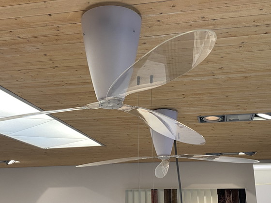 Image 1 of Luceplan - Blow - Fan Ceiling Lamp