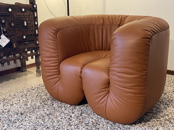 Image 1 of De Sede DS - 707 Flowing serpentines armchair