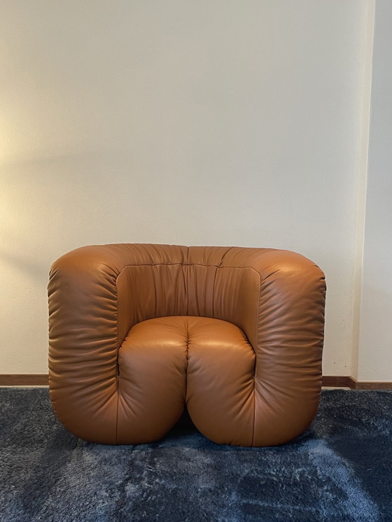 Image 1 of De Sede DS - 707 Flowing serpentines armchair