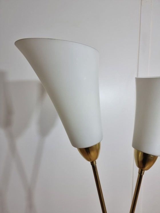 Image 1 of Floor Lamp By Kamenicky Senov