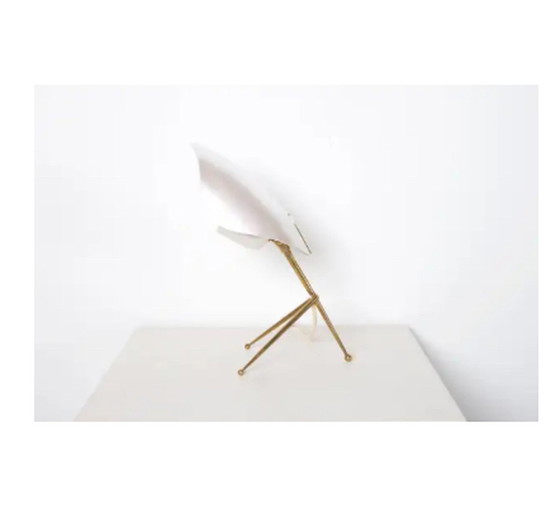 Image 1 of Cosack Leuchten Table Lamp with Brass Tripod Base