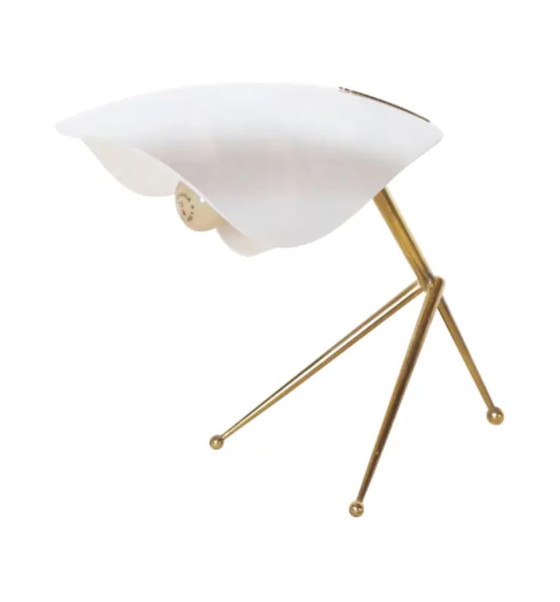 Image 1 of Cosack Leuchten Table Lamp with Brass Tripod Base