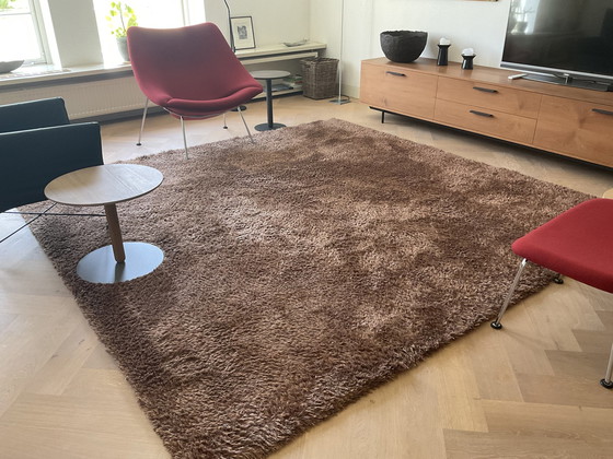 Image 1 of Tapis Sign Rug Sauvage