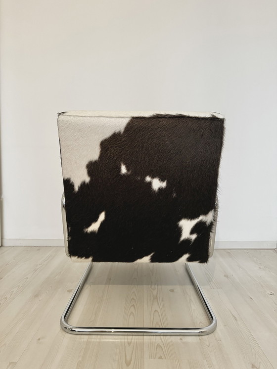 Image 1 of Thonet Armchair S411 In Cowhide