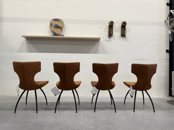 Image 1 of 4 sillas de comedor Leolux Callas Danza Leather