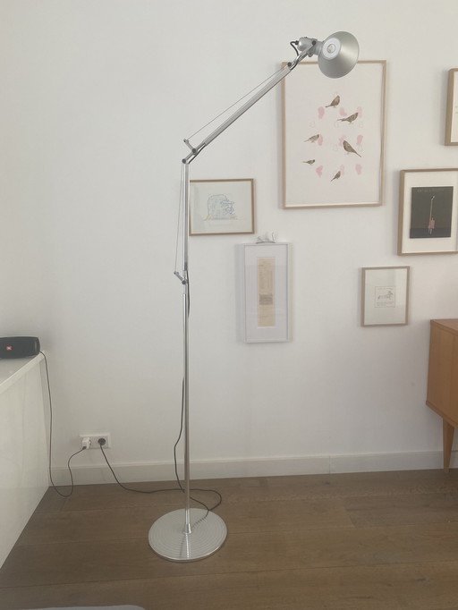 Artemide Tolomea Terra floor lamp