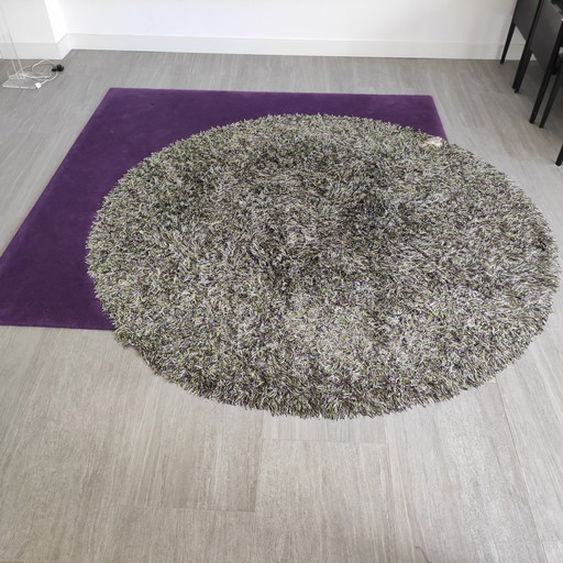 Kinast Carpet