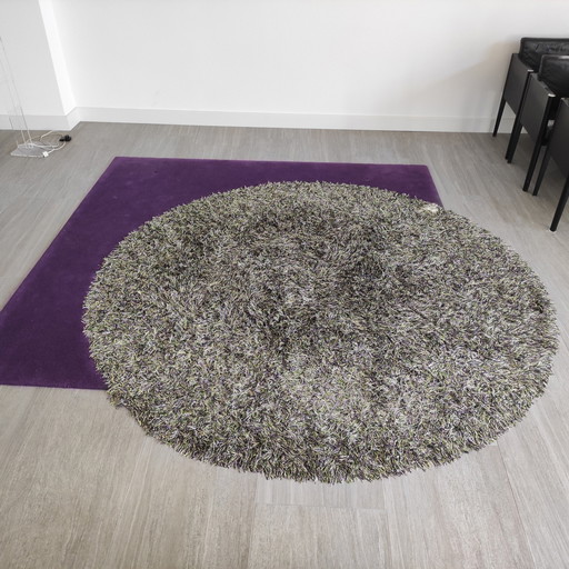 Kinast Carpet