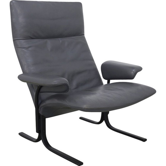 Image 1 of Vintage armchair in leather Ds 2030 by de Sede, 1980s