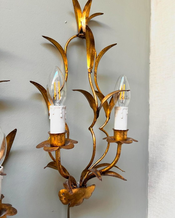 Image 1 of Set Wall Lights Hans Kögl with gold leaf gilding