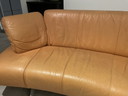 Équipe de Wellis bench & hocker