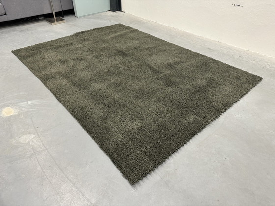 Image 1 of Brink and Campman Basalt Rug Green 200x280