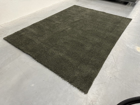 Image 1 of Brink and Campman Basalt Rug Green 200x280