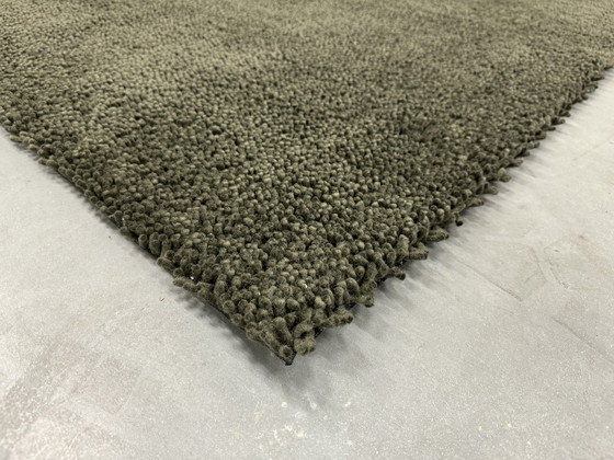 Image 1 of Brink and Campman Basalt Rug Green 200x280