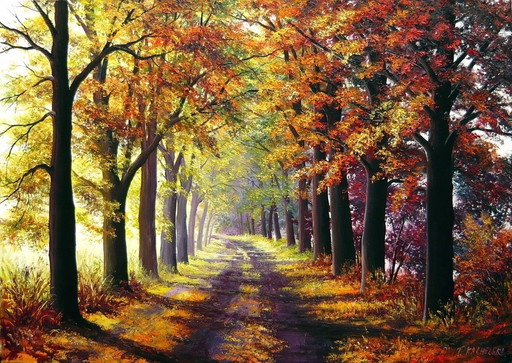 Tomasz Kachelski "Autumn Alley"