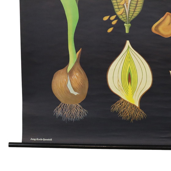 Image 1 of Grande mappa scolastica vintage con tulipani