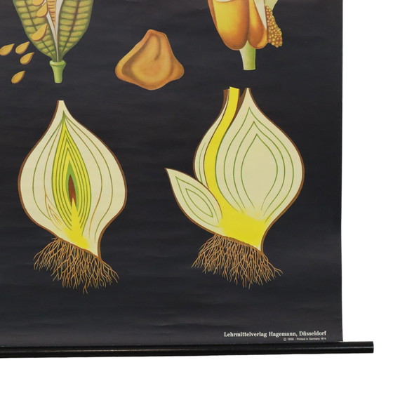 Image 1 of Grande mappa scolastica vintage con tulipani