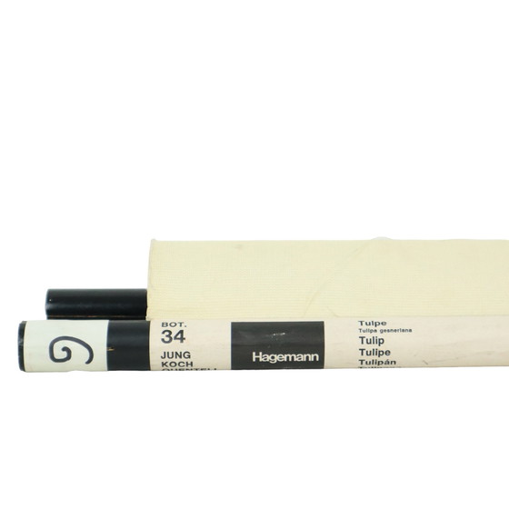 Image 1 of Grande mappa scolastica vintage con tulipani