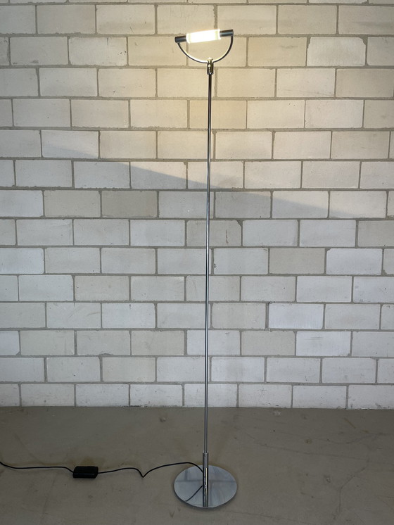 Image 1 of Cini & Nils Gradi Terra Retinato Floor Lamp