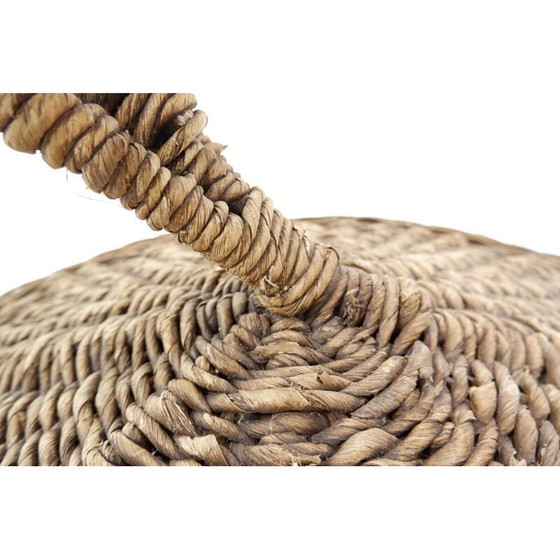 Image 1 of Vintage banana leaf chair by Marzio Cecchi for Most, 1970