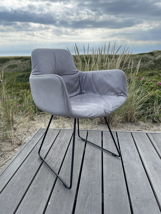 Freifrau-Leya Armchair High