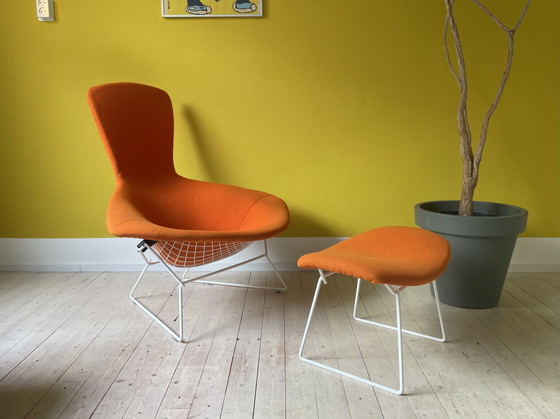 Image 1 of Knoll Harry Bertoia Bird Chair + Ottoman