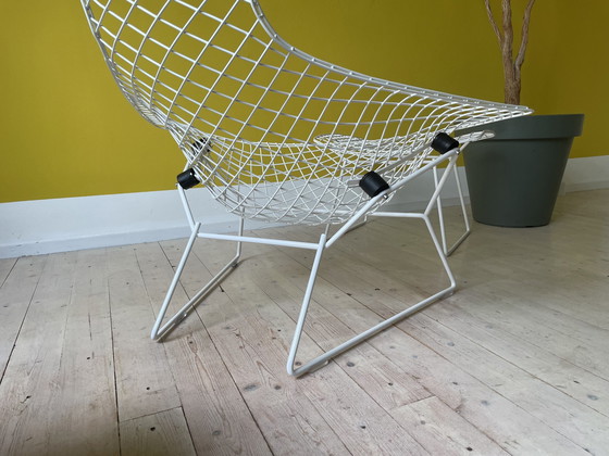 Image 1 of Knoll Harry Bertoia Bird Chair + Ottoman