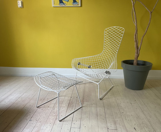 Image 1 of Knoll Harry Bertoia Bird Chair + Ottoman