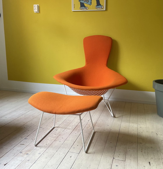 Image 1 of Knoll Harry Bertoia Bird Chair + Ottoman