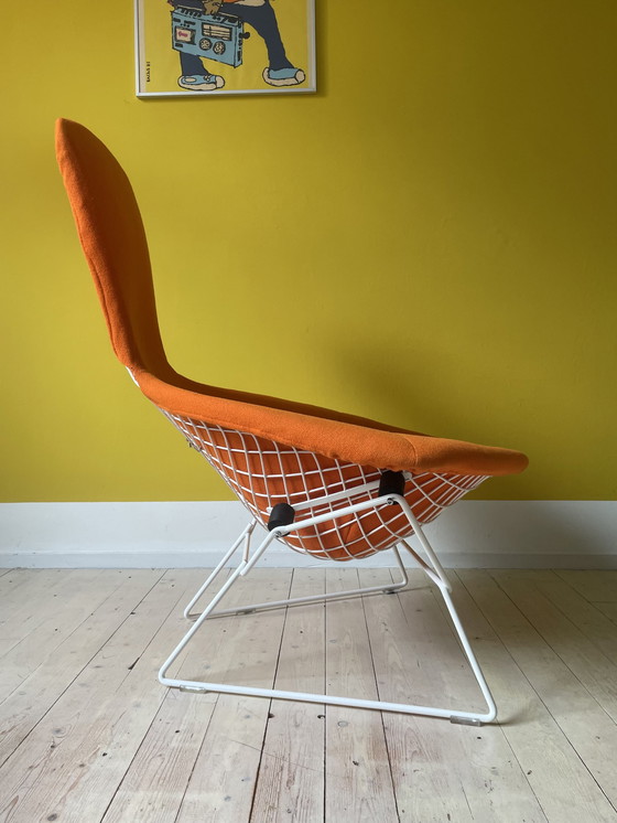 Image 1 of Knoll Harry Bertoia Bird Chair + Ottoman