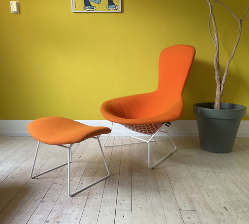 Knoll Harry Bertoia Bird Chair + Ottoman