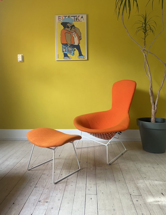 Image 1 of Knoll Harry Bertoia Bird Chair + Ottoman