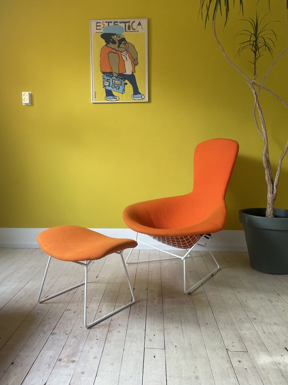 Image 1 of Knoll Harry Bertoia Bird Chair + Ottoman