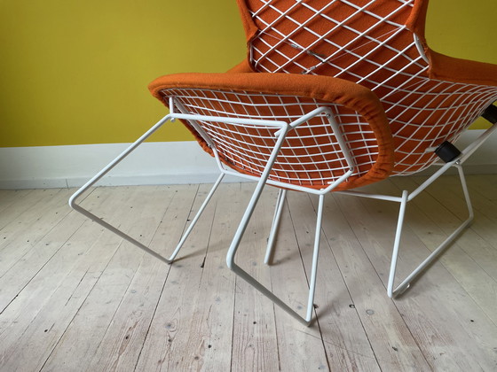 Image 1 of Knoll Harry Bertoia Bird Chair + Ottoman