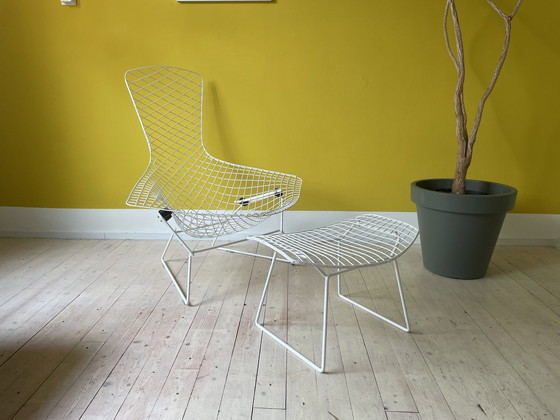 Image 1 of Knoll Harry Bertoia Bird Chair + Ottoman