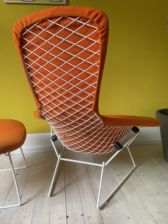 Image 1 of Knoll Harry Bertoia Bird Chair + Ottoman