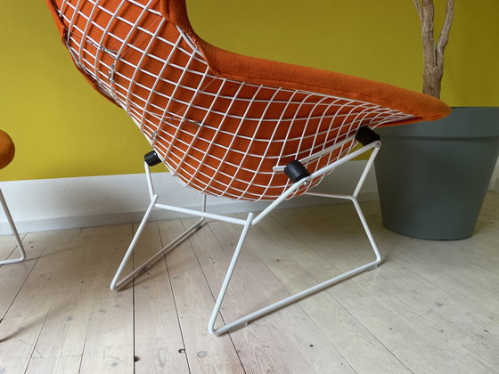 Image 1 of Knoll Harry Bertoia Bird Chair + Ottoman