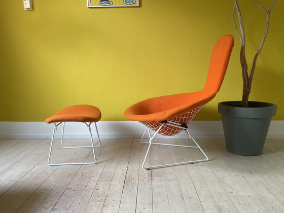 Image 1 of Knoll Harry Bertoia Bird Chair + Ottoman