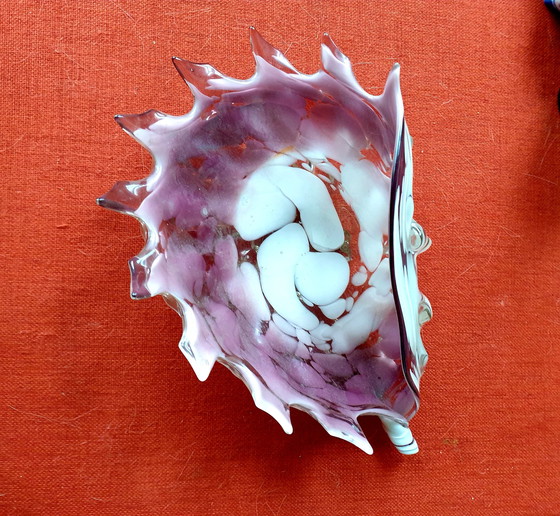 Image 1 of Murano shell