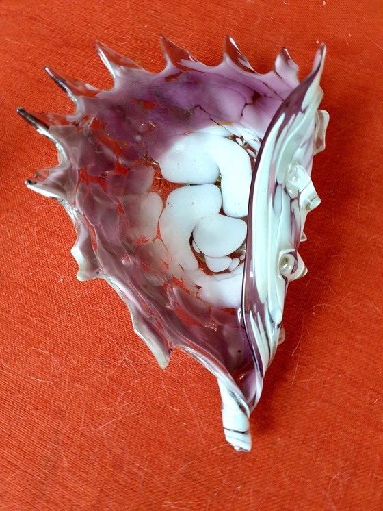 Image 1 of Murano shell