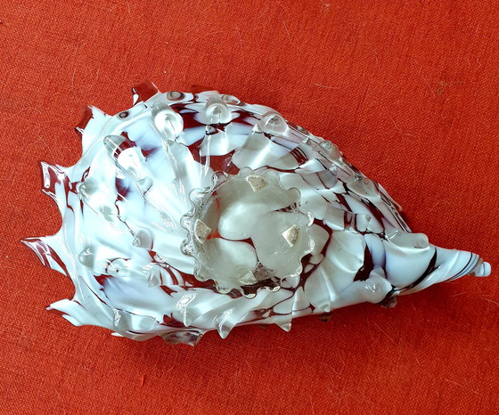 Image 1 of Murano shell