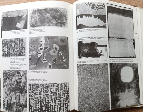 Image 1 of Larousse Encyclopedia of Modern Art boek