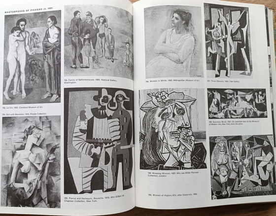 Image 1 of Larousse Encyclopedia of Modern Art boek