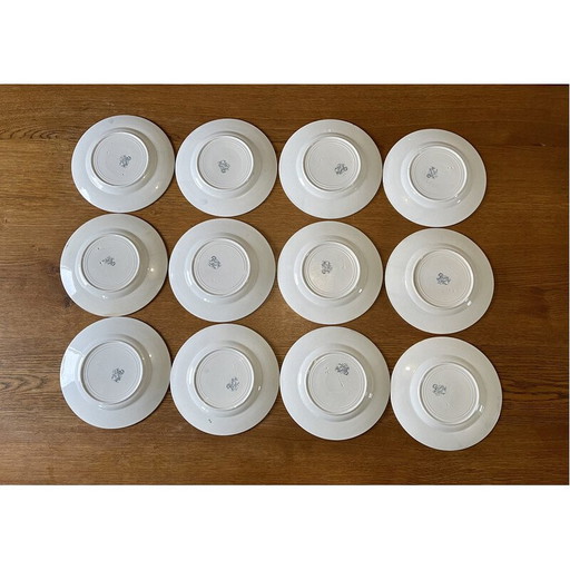 Set of 12 vintage earthenware plates St Amand, France