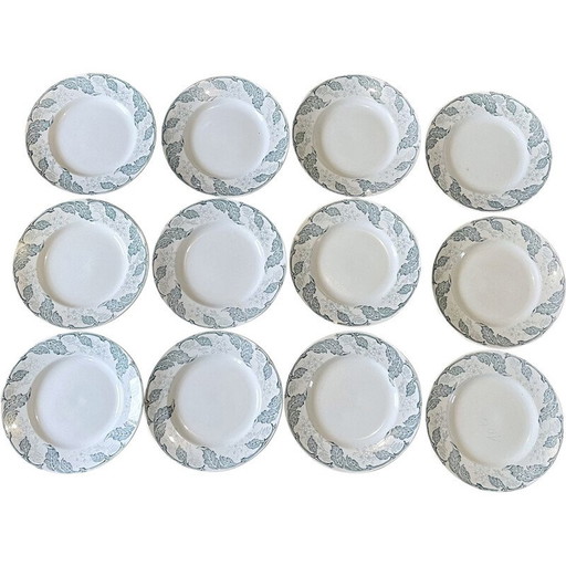Set of 12 vintage earthenware plates St Amand, France